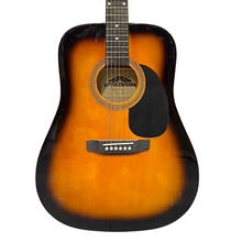 Cargar imagen en el visor de la galería, Stadium Acoustic Guitar
