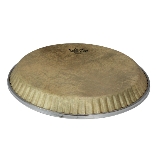 Remo Conga Crimlock Skyndeep Calfskin Low Collar