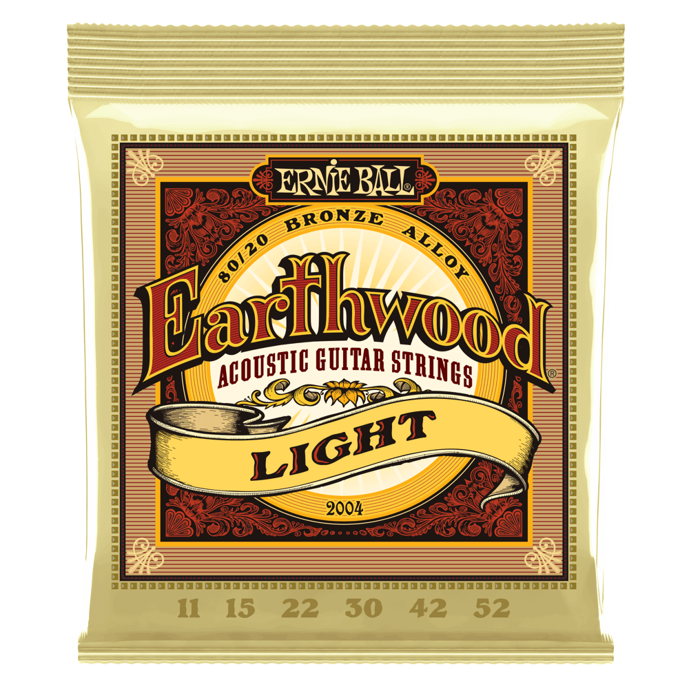 Ernie Ball Earthwood Bronze Acoustic Guitar String