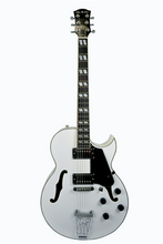Cargar imagen en el visor de la galería, Glen Burton Hollow Body Electric Guitar
