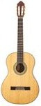 Peavey Classical Guitar